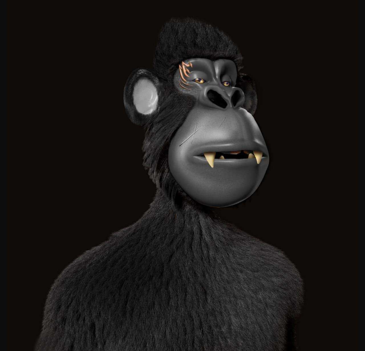 No Image Found